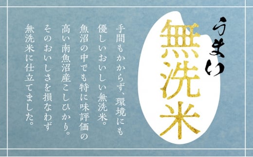 【令和6年産】魚沼産コシヒカリ　無洗米　5kg×全12回