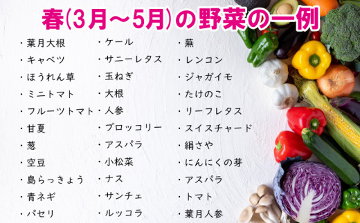 野菜 お楽しみ 定期便 2回 5~6品目 詰め合わせ セット こだわり栽培 玉ねぎ とまと じゃがいも