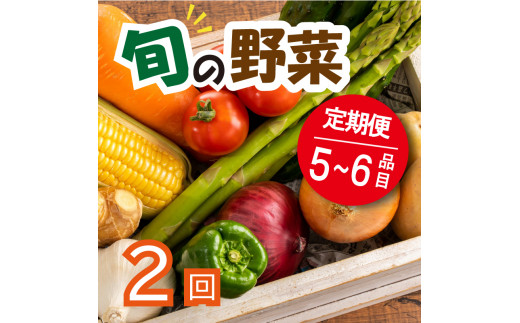 野菜 お楽しみ 定期便 2回 5~6品目 詰め合わせ セット こだわり栽培 玉ねぎ とまと じゃがいも