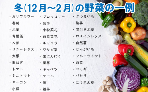 野菜 お楽しみ 定期便 2回 5~6品目 詰め合わせ セット こだわり栽培 玉ねぎ とまと じゃがいも