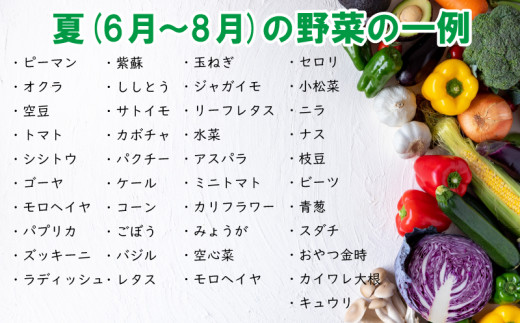 野菜 お楽しみ 定期便 2回 5~6品目 詰め合わせ セット こだわり栽培 玉ねぎ とまと じゃがいも