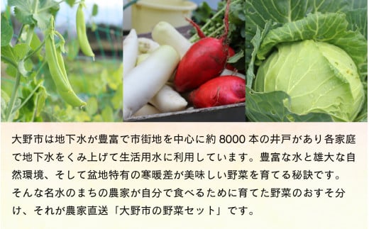 【8月発送分】【農家直送】「大野市の野菜セット」《農家が自分で食べるために育てた野菜のおすそ分け》