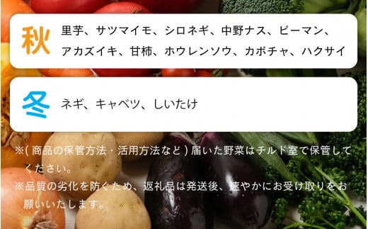 【8月発送分】【農家直送】「大野市の野菜セット」《農家が自分で食べるために育てた野菜のおすそ分け》