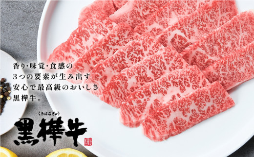 熊本県産黒毛和牛　黒樺牛焼肉用カルビ・モモ・切り落としセット　しょうゆタレ付