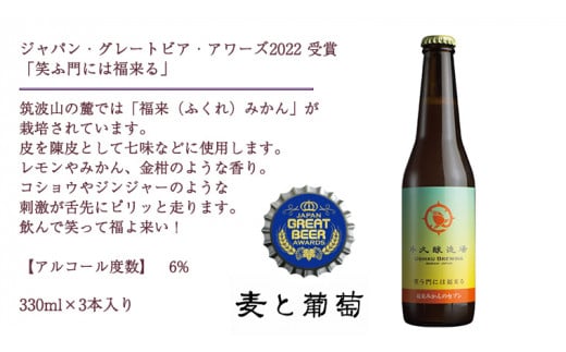 2年連続！《 ジャパン・グレートビア・アワーズ 受賞 》 クラフトビール 2種 計 6本 セット  飲み比べ 茨城県産 牛久醸造場 330ml × 6本 ビール 地ビール クラフト お酒 贈り物