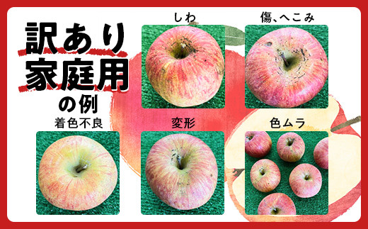 【令和6年産先行予約】 〈訳あり品 家庭用〉 りんご 「サンふじ」 約5kg バラ詰め 《令和6年12月上旬～令和7年2月下旬発送》 『カネタ髙橋青果』 リンゴ 山形県 南陽市 [1958]