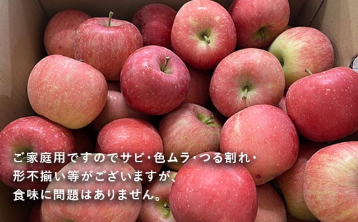 【令和6年産先行予約】 〈訳あり品 家庭用〉 りんご 「サンふじ」 約5kg バラ詰め 《令和6年12月上旬～令和7年2月下旬発送》 『カネタ髙橋青果』 リンゴ 山形県 南陽市 [1958]