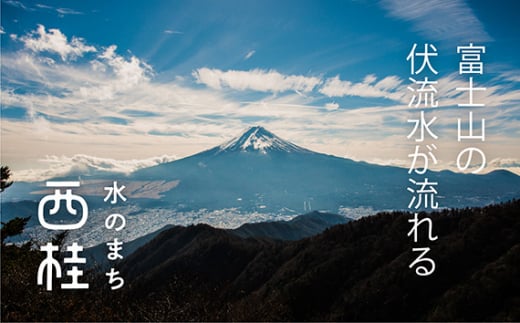 No.448 高級絣絹織物（甲斐絹）【紳士晴雨兼用長傘】グレー系絣織 ／ 雨具 雨傘 日傘 山梨県