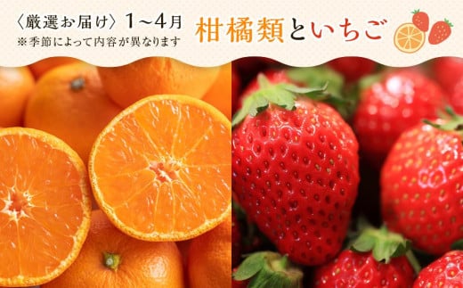 【3ヶ月連続定期便】 創業130余年！老舗果物店の厳選フルーツ詰合せ♪満足セット（3～5品種）