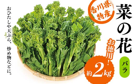 【先行予約】菜の花 バラ (約2kg) なの花 菜の花 おひたし 天ぷら 炒め物 春 野菜 食品 名産 四国 F5J-378