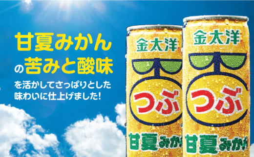 金太洋 つぶ甘夏みかん 30缶入り・1ケース 長崎県/太洋食品株式会社 [42ACAD002] みかん ジュース ミカン 缶 長崎 島原 つぶ 粒