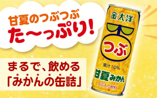 金太洋 つぶ甘夏みかん 30缶入り・1ケース 長崎県/太洋食品株式会社 [42ACAD002] みかん ジュース ミカン 缶 長崎 島原 つぶ 粒