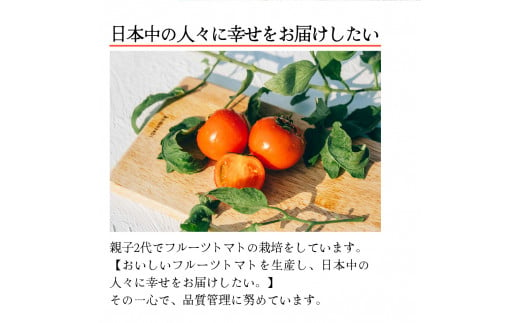 【5回定期便】フルーツトマト 原田農園 約1,800g 大箱（12月下旬～5月頃発送）＜2024年12月下旬頃より発送＞＜毎年12月上旬頃まで申込受付＞