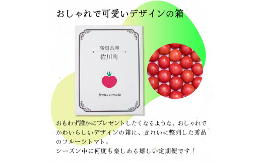 【5回定期便】フルーツトマト 原田農園 約1,800g 大箱（12月下旬～5月頃発送）＜2024年12月下旬頃より発送＞＜毎年12月上旬頃まで申込受付＞