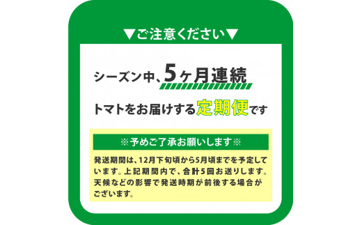 【5回定期便】フルーツトマト 原田農園 約1,800g 大箱（12月下旬～5月頃発送）＜2024年12月下旬頃より発送＞＜毎年12月上旬頃まで申込受付＞