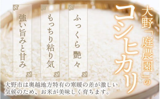 【令和6年産】【3ヶ月定期便】越前大野産 エコファーマー認定農家栽培 こしひかり 玄米 10kg × 3回 計30kg 