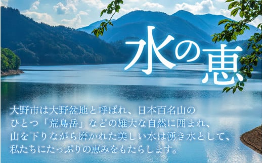 【令和6年産】【3ヶ月定期便】越前大野産 エコファーマー認定農家栽培 こしひかり 玄米 10kg × 3回 計30kg 