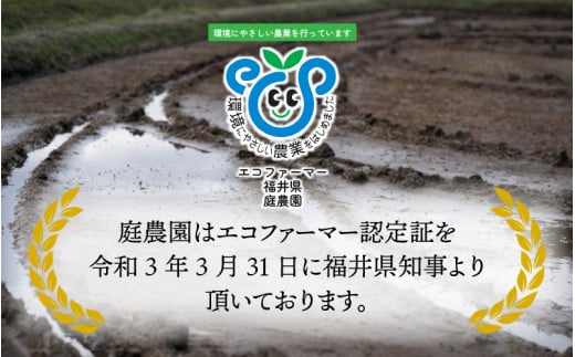 【令和6年産】【3ヶ月定期便】越前大野産 エコファーマー認定農家栽培 こしひかり 玄米 10kg × 3回 計30kg 