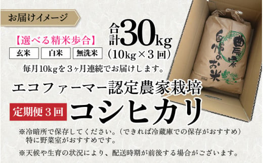 【令和6年産】【3ヶ月定期便】越前大野産 エコファーマー認定農家栽培 こしひかり 玄米 10kg × 3回 計30kg 