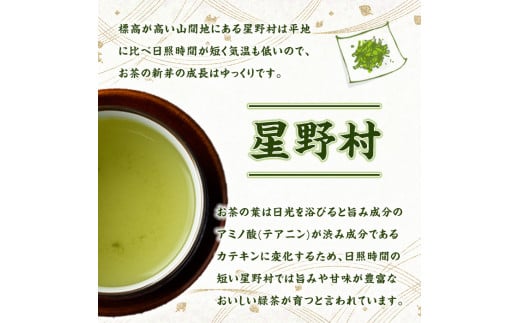 奥八女星野村　伝統本玉露(計100g・50g×2袋) 八女茶 緑茶 おちゃ お茶 やめ 手摘み茶 常温 常温保存【ksg1349】【おどろきっちん】