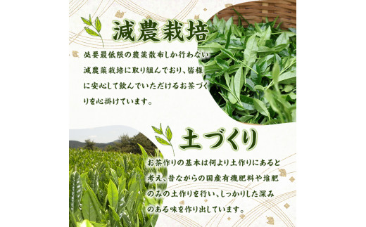 奥八女星野村　伝統本玉露(計100g・50g×2袋) 八女茶 緑茶 おちゃ お茶 やめ 手摘み茶 常温 常温保存【ksg1349】【おどろきっちん】