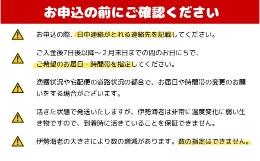 【おせち】年内配送 配送日指定可 活き！伊勢海老　約2kg（2～5尾）伊勢エビ 伊勢えび 年末  三重県 熊野市 熊野 おせち