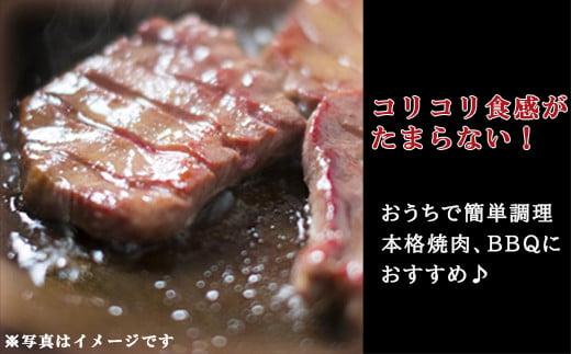 厚切り牛タンステーキ 700gと博多和牛切り落とし 1,000gセット  冷凍 小分け たん 牛肉 肉 美味しいタン 和牛 牛肉 お肉 ホルモン 川崎デリカ 厚切りタン ステーキ ギフト プレゼント お歳暮 年末年始 クリスマス BBQ 焼肉 お肉 ジューシー おすすめ 人気 ランキング タン好きにも タン 珍味 福岡 川崎