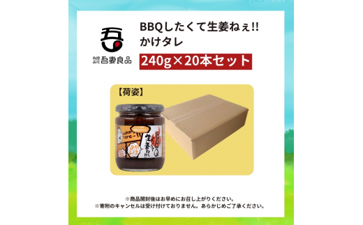 BBQしたくて生姜ねぇ!!かけタレ20本セット 【しょうが 国産 醤油漬け バーベキュー 焼肉 たれ ごはんのお供 お弁当 調味料 おつまみ 肴 薬味 隠し味 猪苗代町 福島県】[№5771-1328]