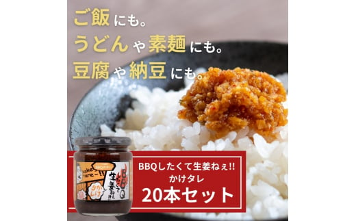 BBQしたくて生姜ねぇ!!かけタレ20本セット 【しょうが 国産 醤油漬け バーベキュー 焼肉 たれ ごはんのお供 お弁当 調味料 おつまみ 肴 薬味 隠し味 猪苗代町 福島県】[№5771-1328]