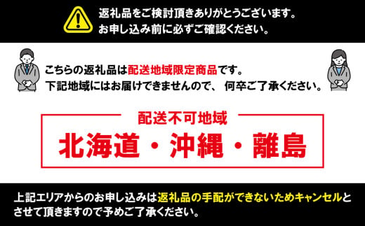 ぬれ煎餅 10袋 銚子電鉄 青のうす口味 煎餅 せんべい おかき お菓子 おやつ 米 こめ 甘口 濃口 うす味 MIX 詰め合わせ おすすめ 人気 お取り寄せ グルメ 手土産 テレビ 有名 名産 銚子電気鉄道 銚電 送料無料 ふるさと納税 千葉県銚子市 銚子市 