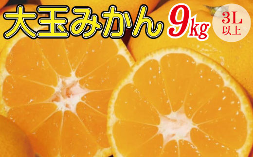 先行予約 和歌山の美味しい大玉みかん 約9kg （3L以上）【2023年12月上旬頃～2024年2月上旬に順次発送（お届け日指定不可）】/みかん ミカン 柑橘  和歌山県【mat309】