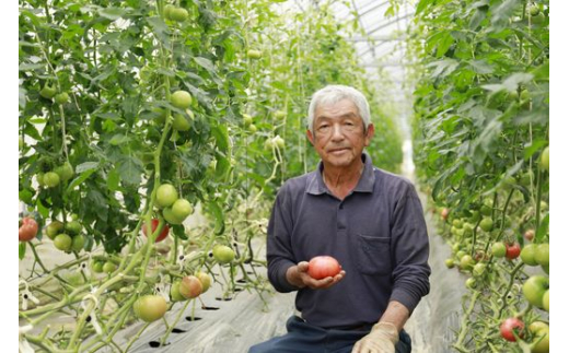 松比良さんの「まっちゃんトマト」（完熟の桃太郎、アイコ） ◇