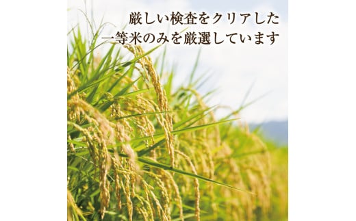 令和6年産 福岡県産 米 食べ比べ＜無洗米＞セット「夢つくし」と「元気つくし」2種類 計20kg入り [a8262] 株式会社 ゼロプラス 【返礼品】添田町 ふるさと納税