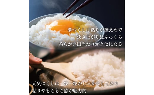 令和6年産 福岡県産 米 食べ比べ＜無洗米＞セット「夢つくし」と「元気つくし」2種類 計20kg入り [a8262] 株式会社 ゼロプラス 【返礼品】添田町 ふるさと納税