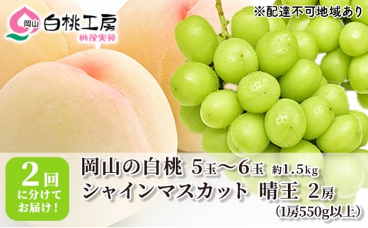 桃 ぶどう 2025年 先行予約 白桃 1.5kg シャインマスカット 晴王 2房 1房550g以上 2回に分けてお届け！ もも 葡萄 定期便 岡山 国産 フルーツ 果物 ギフト 桃茂実苑 