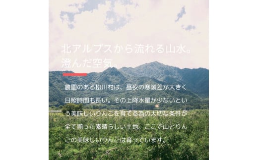 *山とりんご 安曇野 松川村産 ぐんま名月 約 5kg ｜ リンゴ りんご 林檎 果物 フルーツ 果実 果汁 ぐんま名月 ぐんまめいげつ 長野県 松川村 北アルプス 信州