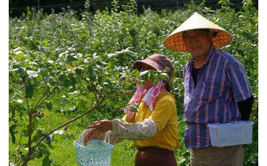 遠野旅の産地直売所 旅行券 100,000円分 春夏用  岩手県 遠野市 ツアー 宿泊 食事 ギフト 紙券 体験 アクティビティ チケット