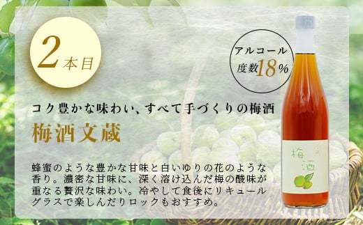 たらぎの 梅酒 セット 720ml × 2本