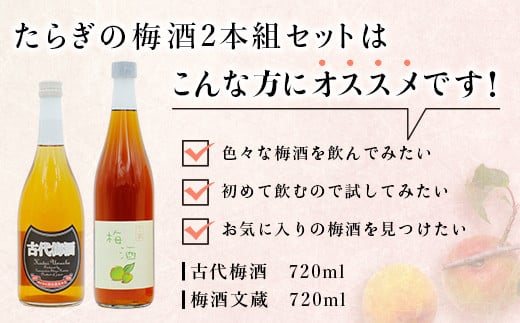 たらぎの 梅酒 セット 720ml × 2本