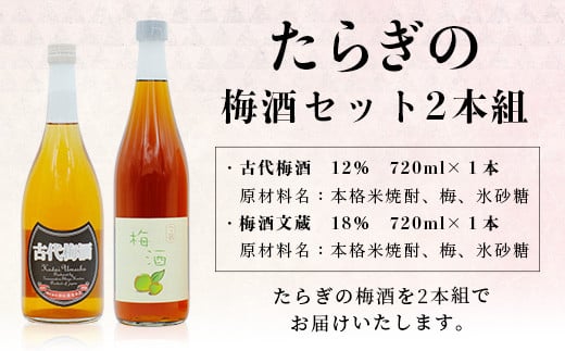 たらぎの 梅酒 セット 720ml × 2本