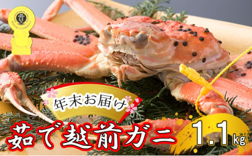 茹で越前ガニ【年末お届け】食通もうなる本場の味をぜひ、ご堪能ください。約1.1kg以上 越前がに 越前かに 越前カニ カニ ボイルガニ [№5580-0596]