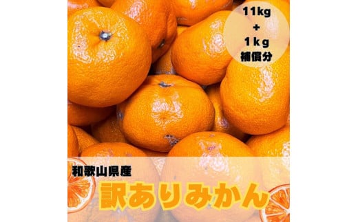 【訳あり】和歌山みかん約11kg+補償分約1kg サイズ混合 11月より順次発送 訳ありみかん 【red2】