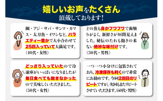 【訳あり干物セット】たっぷり25点以上！おざきのひもの「おまかせスペシャルセット」【ご好評につき再販決定】【冷凍】【ozk102-1】