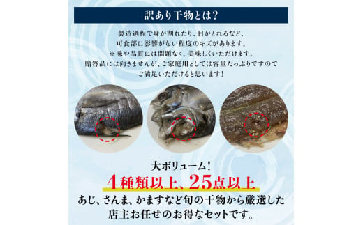 【訳あり干物セット】たっぷり25点以上！おざきのひもの「おまかせスペシャルセット」【ご好評につき再販決定】【冷凍】【ozk102-1】