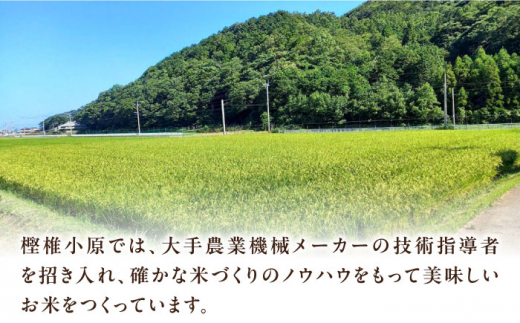 【全12回定期便】対馬産 なつほのか 5kg 《対馬市》【農事組合法人 樫椎小原】 白米 米 お米 ご飯 ごはん 新米 5kg 5キロ 産地直送 ランキング 送料無料 贈答用 定期便 [WCQ003]