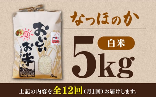 【全12回定期便】対馬産 なつほのか 5kg 《対馬市》【農事組合法人 樫椎小原】 白米 米 お米 ご飯 ごはん 新米 5kg 5キロ 産地直送 ランキング 送料無料 贈答用 定期便 [WCQ003]