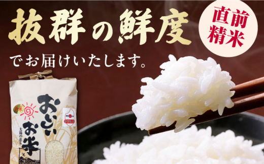 【全12回定期便】対馬産 なつほのか 5kg 《対馬市》【農事組合法人 樫椎小原】 白米 米 お米 ご飯 ごはん 新米 5kg 5キロ 産地直送 ランキング 送料無料 贈答用 定期便 [WCQ003]