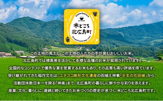 『定期便』全6回 コシヒカリ 精米 3kg 大朝の米こしひかり 栄ファーム 毎月届く定期便 米どころ北広島町のおいしいお米_SA091_002s6