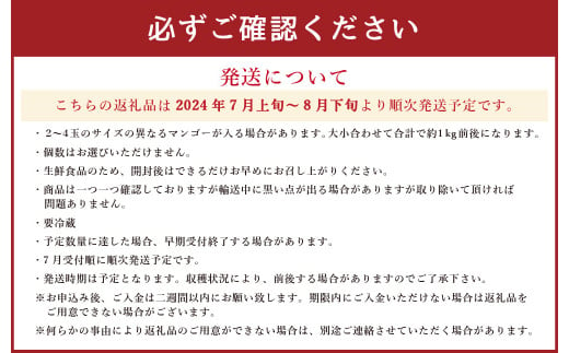 熊本県産 完熟マンゴー (家庭用) 約1kg前後