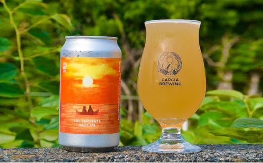 【静岡地ビール】GARCIA BREWINGのランダム6本セット ガルシアブリューイング IPA クラフトビール 飲み比べ